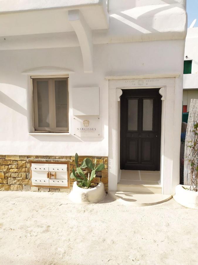 Narcissus Luxury Suites Naxos City Eksteriør billede