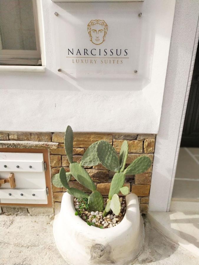 Narcissus Luxury Suites Naxos City Eksteriør billede