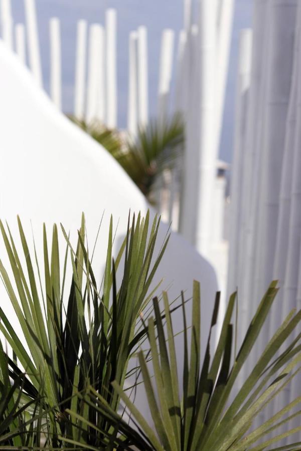 Narcissus Luxury Suites Naxos City Eksteriør billede